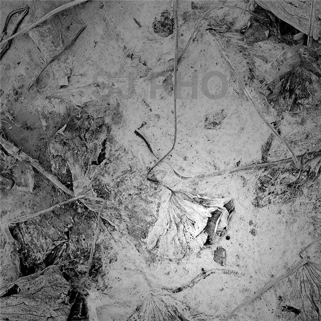 仕杰婚紗攝影_藝心所寄 鴻蓮清暢