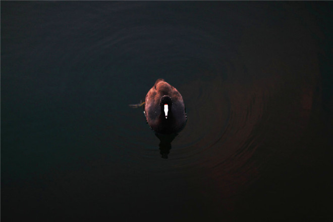 仕杰婚紗攝影_藝心所寄 鴻蓮清暢