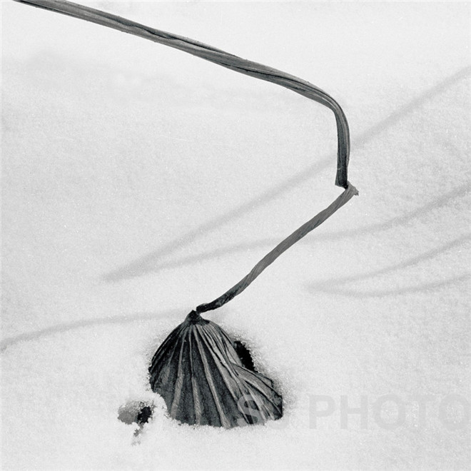 仕杰婚紗攝影_藝心所寄 鴻蓮清暢